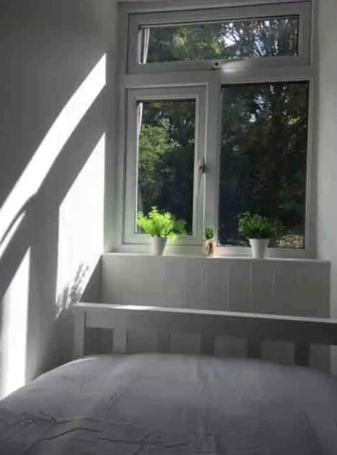 A Woodland Retreat - Apartment In Converted Mill Helston Kültér fotó